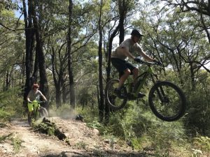 Vandals target new bike trail