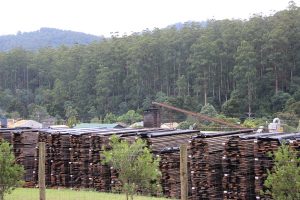 Mixed response to RFAs extension