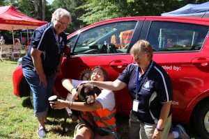 News hound at Dogs’ Day Out