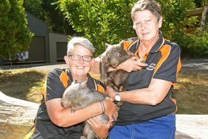 Wildlife rescue plea