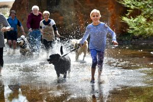 Calling all ‘Ruff Mudders’