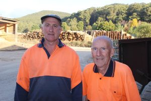 Sawmills want certainty