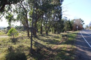 No ‘Maccas’ for Healesville