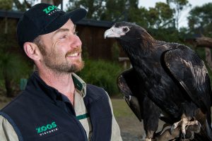 End of an eagle era