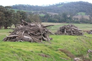 Sunday burning ban lifted