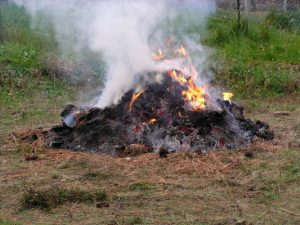 Burn-off balancing act