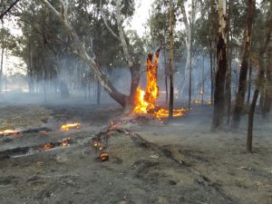 Winter campfire warning