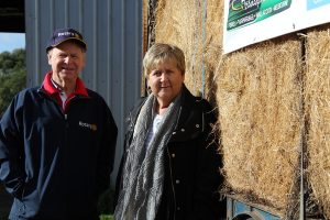 Hay – here’s help