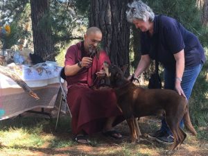 Animal blessing at the lake