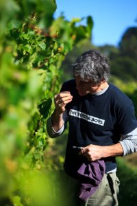 Wine winners raise a glass