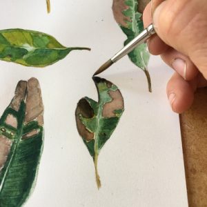 Open, immerse and create