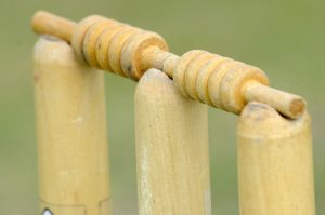 Junior cricket shake-up