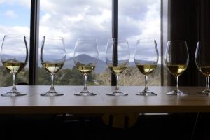 Taking Aussie wine to the world