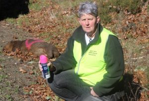 Animal medics get help