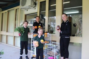 Grow free at Woori Primary