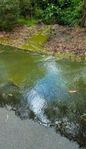 Pool preparation concerns