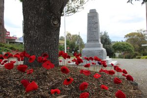 Lilydale abloom with poppies