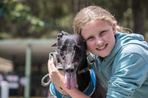 Healesville greyhounds racing into new year