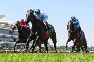 Large field expected for Golden Thong