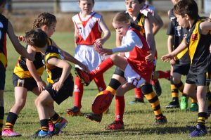 Strong start for Healesville juniors