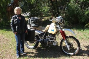 Healesville author publishes second book