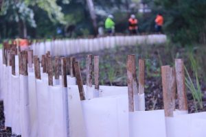 30 years of helping Healesville’s waterways