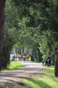 Yarra Valley Trail works underway