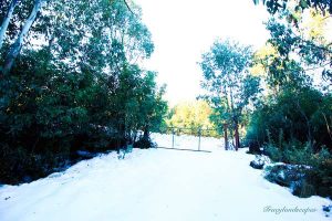 Cosy up close to home