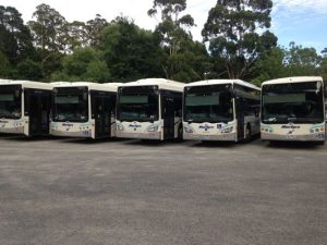 Bus strike off