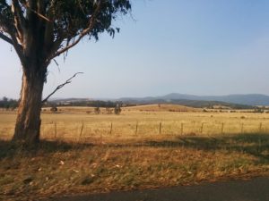 Climate emergency meeting at Ecoss