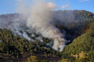 Bushfire affected community projects funded