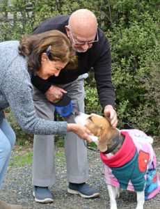 Stolen dog finally reunited with owners
