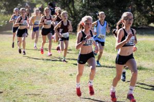 Australian Cross Country medalists