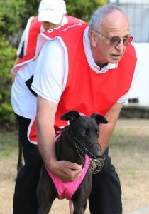 Healesville is home for Queensland raider