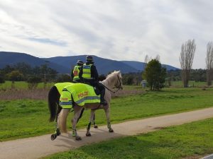 Search continues for missing Woori Yallock man