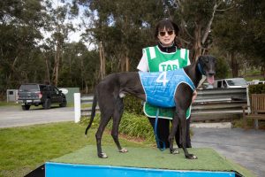 Healesville Cup Carnival excitement for local trainers