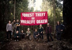 Logging protests come to an end