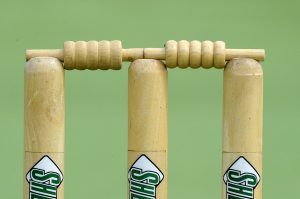 Yarra Valley cricket returns