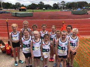Yarra Ranges athletes excel during relays