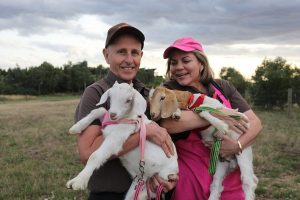 baby goats welcomed to Chocolaterie