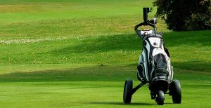 Healesville social golf