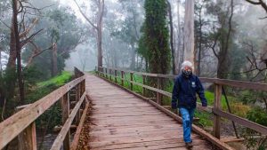 Face masks colour the Yarra Ranges