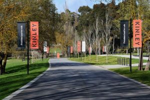Kinley cull halted