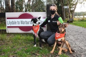 Pawing it forward