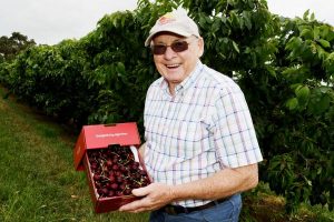 80 years of Cherry Hill