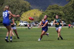 Brown debuts for Pies