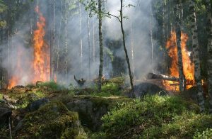 High tech drones to lift firefighting capabilities