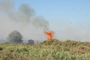 Volunteers helping cure grassfire risk
