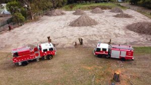 CFA needs your help