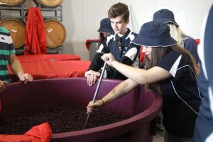 Winemakers of tomorrow